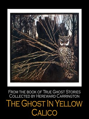 cover image of The Ghost in Yellow Calico